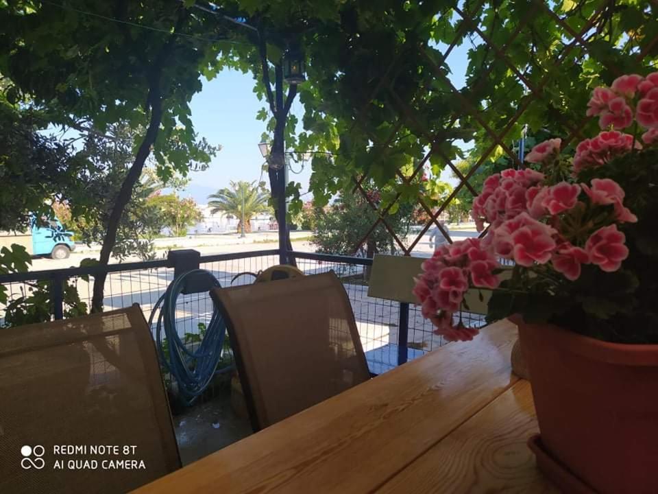 Seaside Deluxe Apartment Skála Kallirákhis 外观 照片